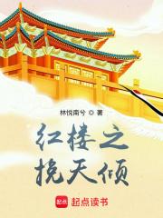 《红楼之挽天倾》